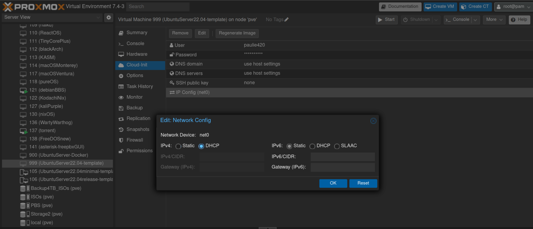 PVE VM 999: Edit: Network Config